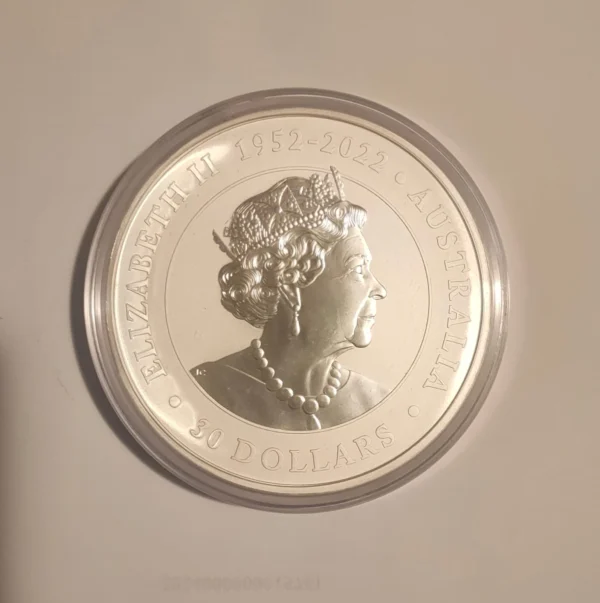 Silver Koala Australia